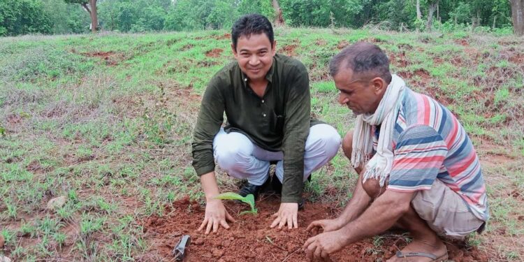 एक सय ११ हेक्टर जमिनमा वृक्षारोपण