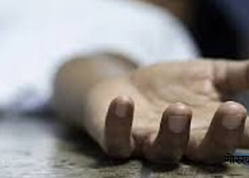 चितवनमा जङ्गली जनावरको आक्रमणबाट १२ जनाको मृत्यु