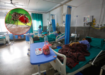 डेङ्गुबाट चितवनमा दुई हजार संक्रमित