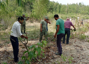 वन संरक्षणमा स्थानीय सक्रिय