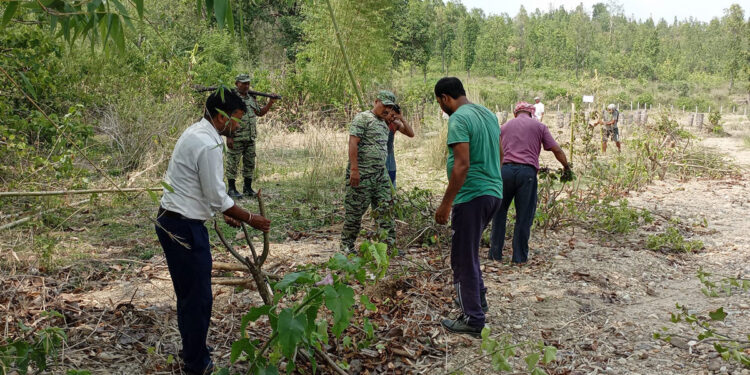 वन संरक्षणमा स्थानीय सक्रिय