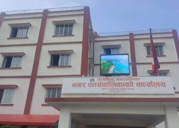 रैथाने बाली संरक्षणमा जुट्दै पालिका