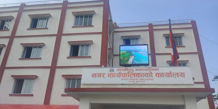 रैथाने बाली संरक्षणमा जुट्दै पालिका