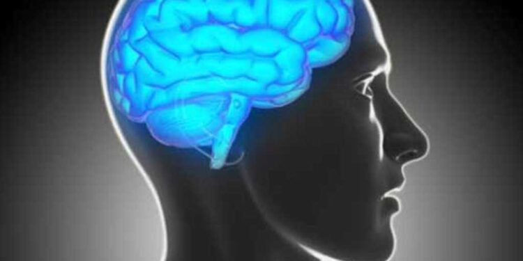 ग्लोबल वार्मिङको असर मानिसको मस्तिष्कमा