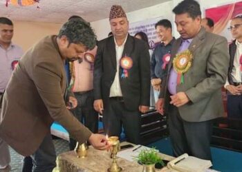 प्रेस युनियन गुल्मीमा विवाद, वैकल्पिक समिति घोषणा