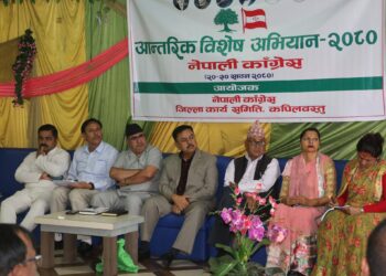 स्वतन्त्र पार्टी बाढीको भेल जस्तै हो, आफै सुकेर जान्छ: मन्त्री आचार्य