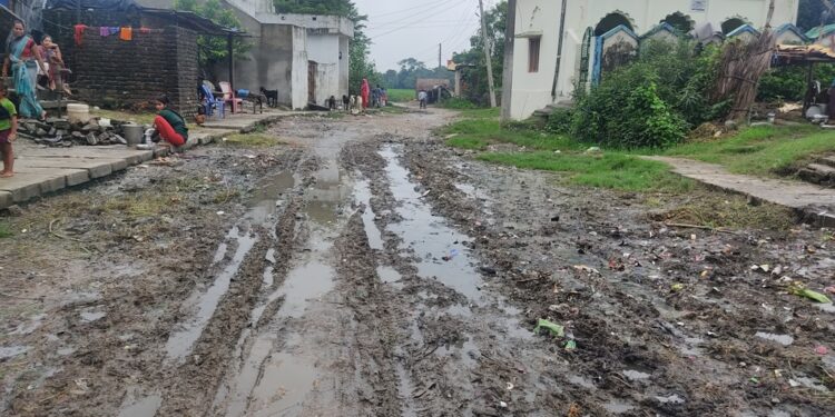 पाँच वर्ष बित्दा पनि बनेन सडक र नाला