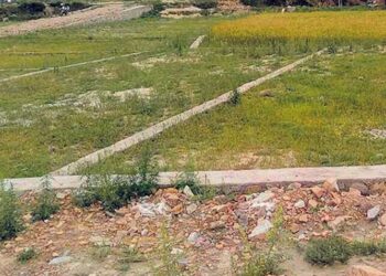 नक्कली आमा बनाएर जग्गा जफत