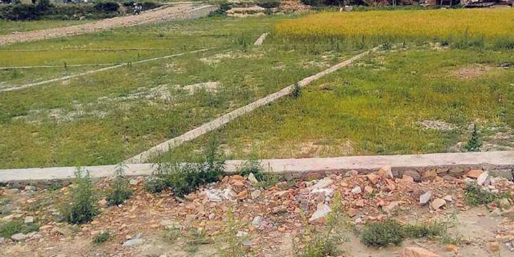 नक्कली आमा बनाएर जग्गा जफत