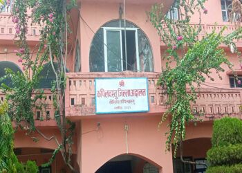 छाडा चौपाया व्यवस्थापन गर्न स्थानिय तहलाई अदालतको आदेश