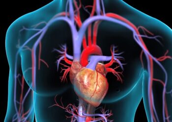 आज विश्व मुटु दिवस : मुटुरोगीको सङ्ख्या दिन प्रतिदिन बढ्दै