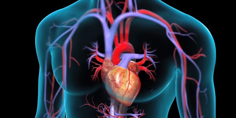 आज विश्व मुटु दिवस : मुटुरोगीको सङ्ख्या दिन प्रतिदिन बढ्दै