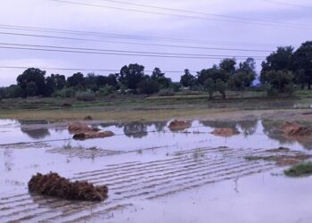 किसानले पाएनन् राहत रकम