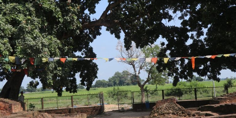 विश्व पर्यटन दिवसमा सुनसान कपिलबस्तुका बुद्ध स्थल