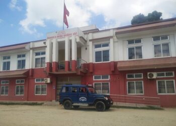 तीन महिनामा सात करोड बढीको प्लाईउड भारत निकासी