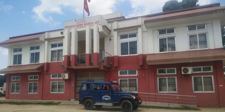 तीन महिनामा सात करोड बढीको प्लाईउड भारत निकासी