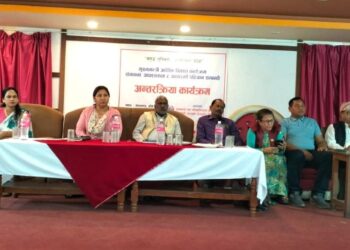 मुख्यमन्त्री आर्थिक विकास कार्यक्रम सञ्चालन हुँदै