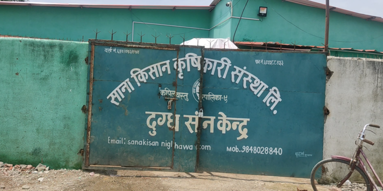 दुग्ध बेचेरै मनग्य आम्दानी गर्दै कपिलबस्तुका कृषक