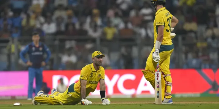 अफगानिस्तानलाई हराउँदै अस्ट्रेलियाले आईसीसी एकदिवसीय विश्वकपको सेमिफाइनलमा