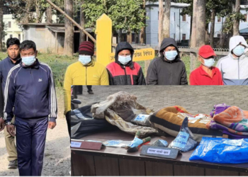 चितवनमा दुई गैंडा मार्ने आठ जना पक्राउ