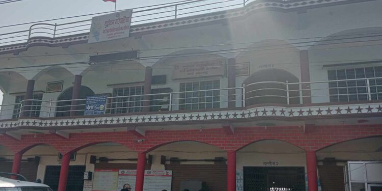 उपाध्यक्षलाई कारबाहीको माग गर्दै शुद्धोधन गाउपालिकाको ५ दिन देखि कामकाज ठप्प, सेवाग्राही मर्कामा