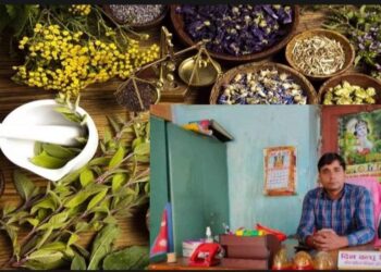 प्रतापपुरमा आयुर्वेद उपचार प्रभावकारी बन्दै