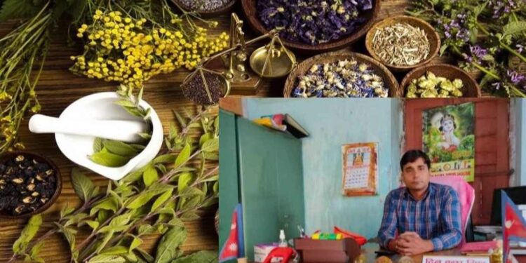 प्रतापपुरमा आयुर्वेद उपचार प्रभावकारी बन्दै