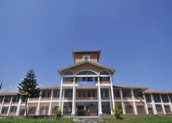 त्रिवि उपकुलपतिमा भुसालको जिम्मेवारी तीन महिनाका लागि थप