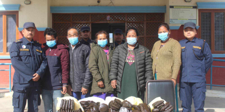 कृष्णनगरबाट लागुऔषध चरेससहित पाँच जना पक्राउ