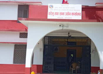 कपिलवस्तुमा ६ वर्षमा बन्द भए साढे १३ सय साना उद्योग र फर्म