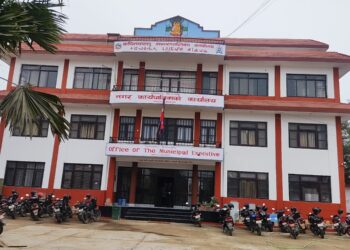 नागपञ्चमीमा कपिलबस्तुका आठ पालिकाले दिए विदा