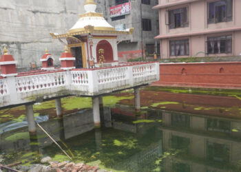ललितपुरको तपुपोखरी जीर्णोद्धार हुँदै