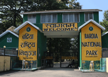 गैंडाको आक्रमणबाट टुरिस्ट गाइडको ज्यान गयो, विदेशी पर्यटक घाइते