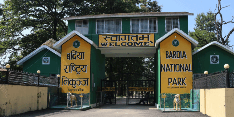 गैंडाको आक्रमणबाट टुरिस्ट गाइडको ज्यान गयो, विदेशी पर्यटक घाइते