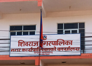शिवराजले लगायो प्लास्टिकका फूल र माला बिक्रीमा रोक