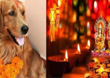कुकुर तिहार र लक्ष्मीपूजा आज एकै दिन