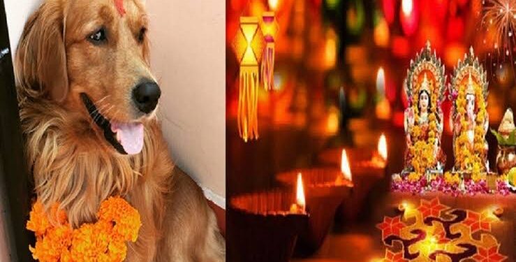 कुकुर तिहार र लक्ष्मीपूजा आज एकै दिन