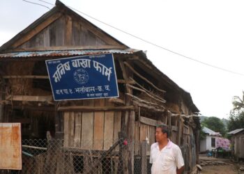 बाख्रा पालन व्यवसायबाट लाखौं आम्दानी