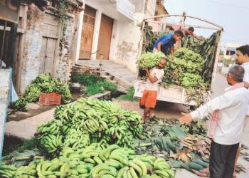 जनकपुरधाममा छठका लागि पाँच करोड रुपैयाँ बराबरको केरा आयात