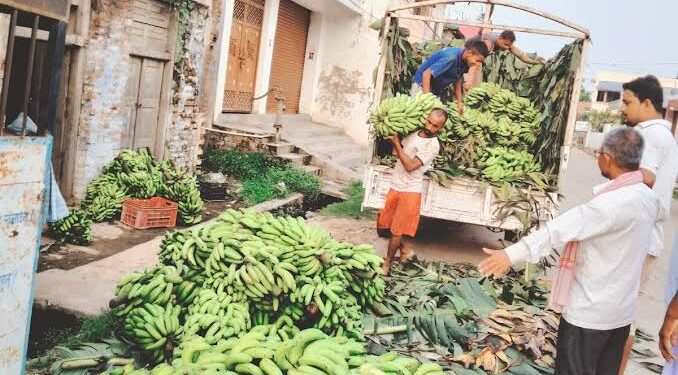 जनकपुरधाममा छठका लागि पाँच करोड रुपैयाँ बराबरको केरा आयात