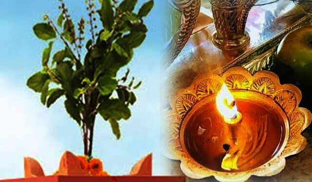 तुलसी र दामोदरको विवाह गरी मनाइयो हरिबोधिनी एकादशी पर्व