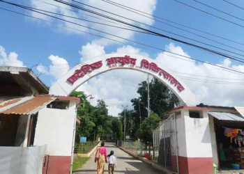 आयुर्वेद चिकित्सालयमा बर्सेनी बिरामीको सङ्ख्या वृद्धि