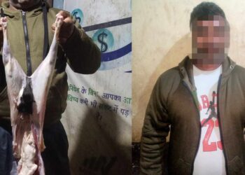 बाख्राको मासुमा खसीको अण्डकोष सिलाएर बेच्ने पक्राउ