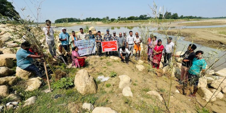 विश्व वातावरण दिवसमा यशोधराको खोरियामा बाँस वृक्षारोपण