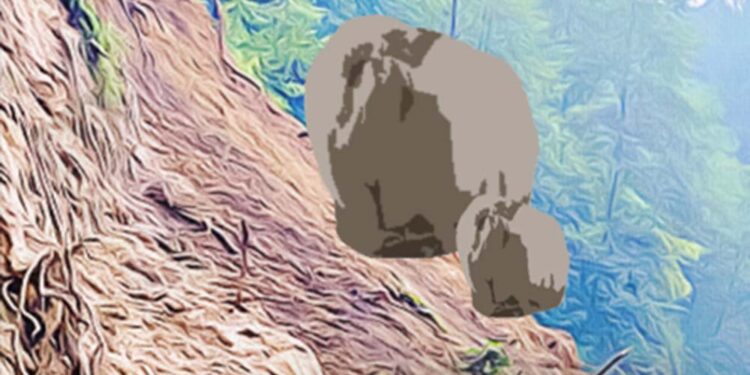 वर्षाका कारण देशभरका आठ राजमार्ग पूर्णरूपमा अवरुद्ध