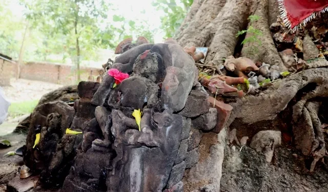 ओझेलमा बुद्धको मावली, मर्चवार नै ऐतिहासिक ‘देवदह’