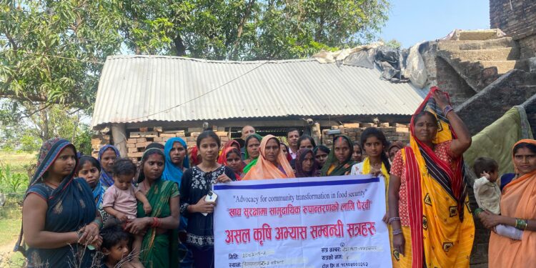 असल कृषि अभ्यास कक्षाबाट आर्गेनिक तरकारी उत्पादन शुरु