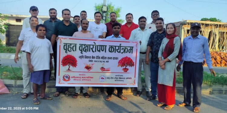 कपिलवस्तुमा वृहत वृक्षारोपण कार्यक्रम