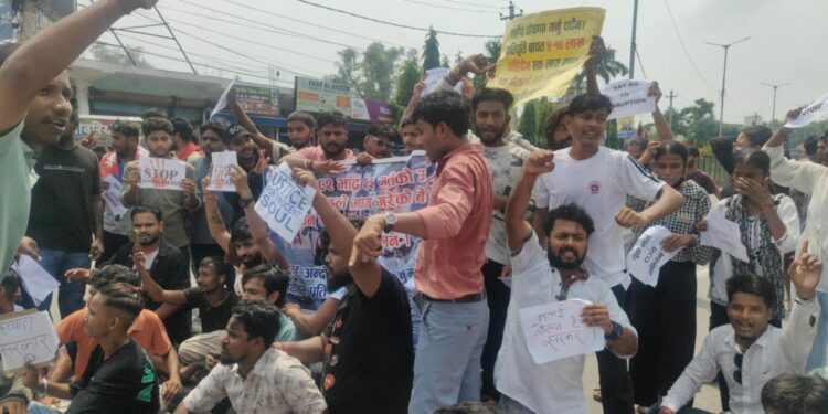 कपिलबस्तुमा पनि जेनजीको प्रर्दशन जारी (तस्विरमा हेर्नुस)