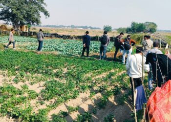 पोषण कार्यक्रम मार्फत स्वास्थ्य सुधारको प्रयास